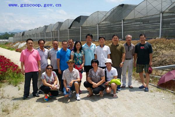 富民瓜果合作社一行